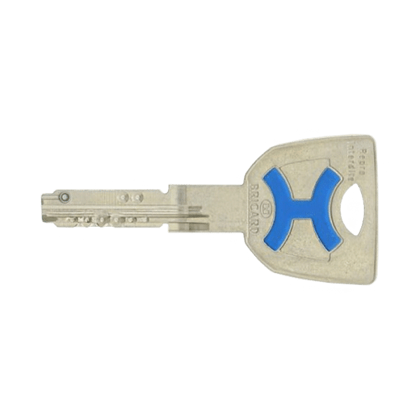 reproduction de clé bricard dual xp s2